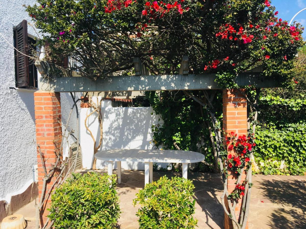 Apartamentos Tres Playas Altamar Alcoceber Exterior photo